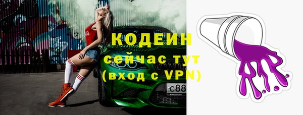индика Вязники