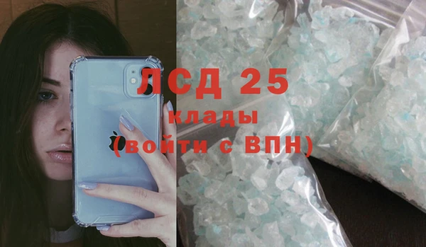 сатива Вяземский