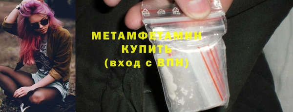 сатива Вяземский