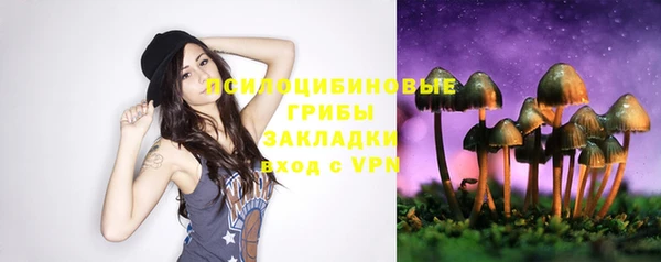 индика Вязники