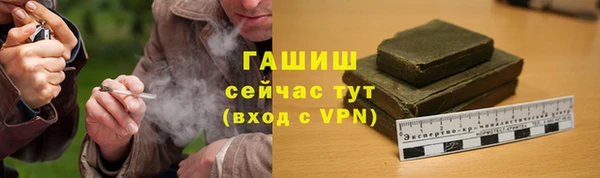 индика Вязники