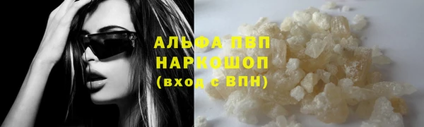 сатива Вяземский