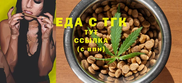 индика Вязники