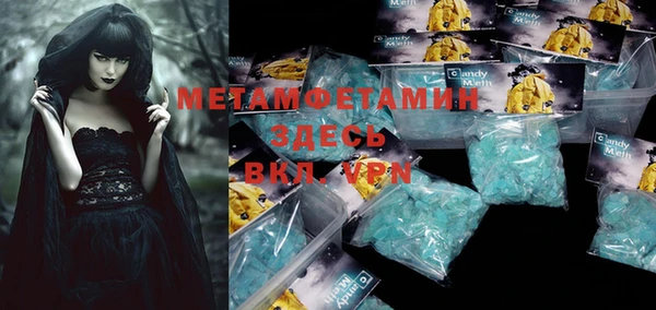 сатива Вяземский