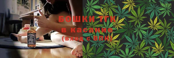 сатива Вяземский