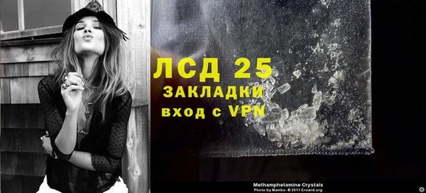 сатива Вяземский